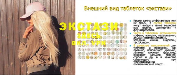 прущие грибы Армянск